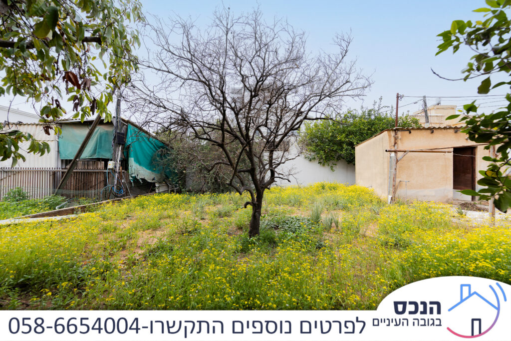 בית פרטי למכירה בתל חי, גני אילן קרית אונו – המגרש והגינה