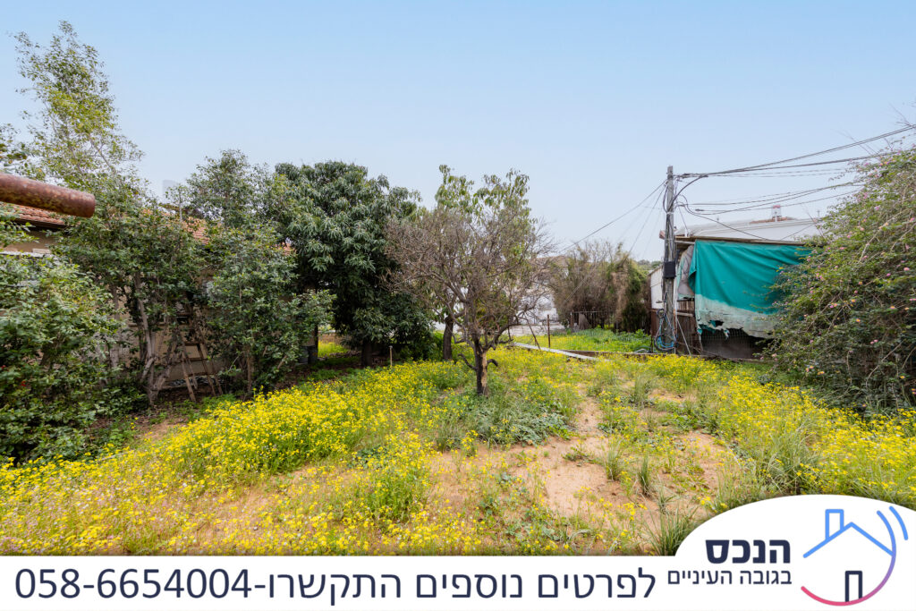 בית פרטי למכירה בתל חי, גני אילן קרית אונו – חצר הבית